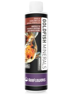 GOLDFİSH 250 ML