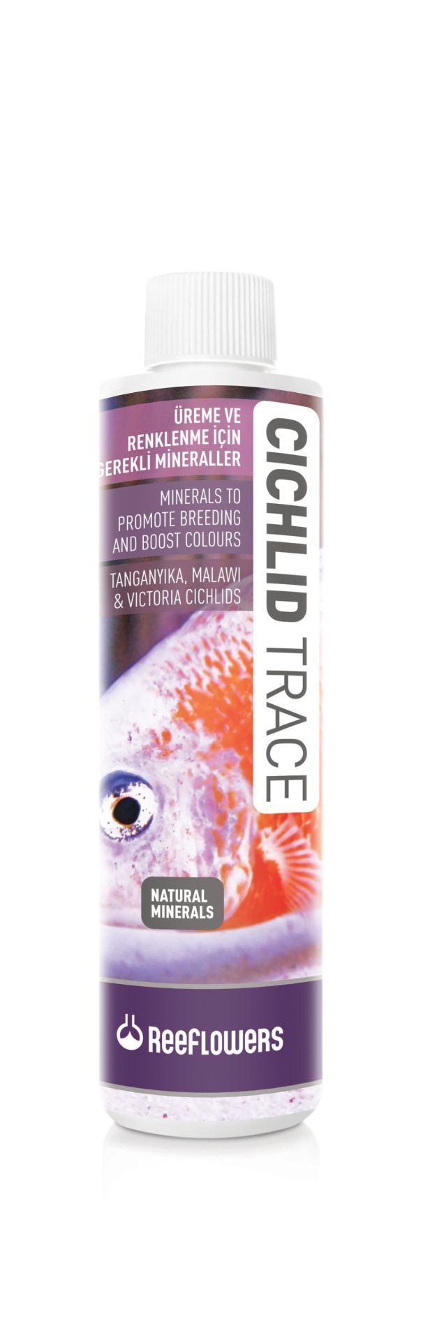 CİCHLİD TRACE 500 ML