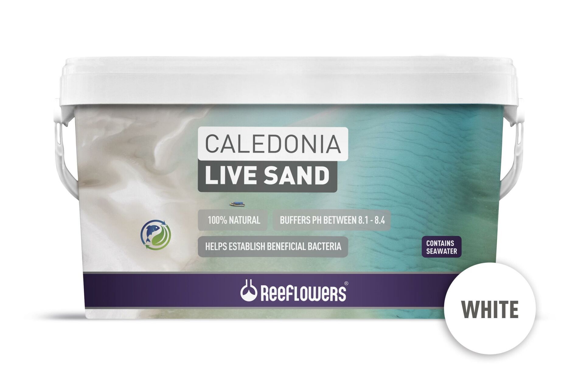 CALEDONİA LİVE SAND - WHİTE 18 KG