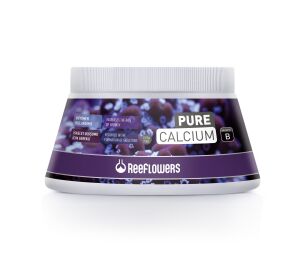 PURE CALCİUM - B 500 ML