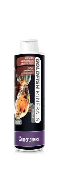 GOLDFİSH 50 CC