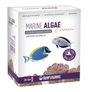 MARİNE ALGAE CREAM 5GR X 20